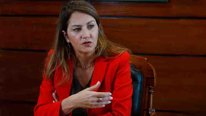 María Teresa Vial y malls chinos ilegales: “La competencia desleal está destruyendo a las pymes”