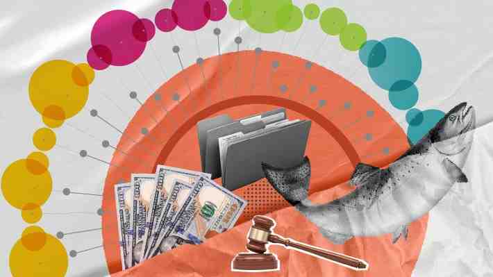 25 figuras que definieron el rumbo del millonario caso Australis